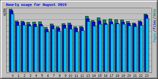 Hourly usage for August 2019