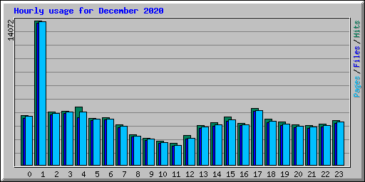 Hourly usage for December 2020