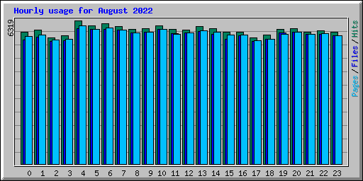 Hourly usage for August 2022